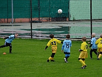 Stěžery B - Kratonohy (10)