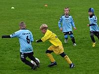 Stěžery B - Kratonohy (11)