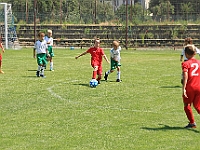 180616 29 Borohrádek - Solnice bílá 017