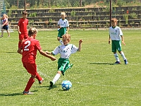 180616 29 Borohrádek - Solnice bílá 020