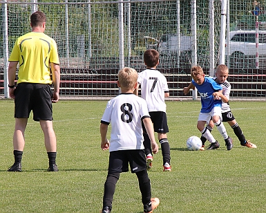 2022 0611 - 2022 0611-12 - Hradec Králové JAKO CUP U9 - ©PR - 0229