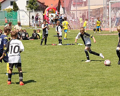 230603 - Pátek u Poděbrad - Rychnov - turnaj Díky fotbalu - ©PR - 270