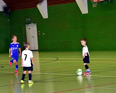 231217 - Jaroměř - Halový turnaj r. 2016 FOTTUR - ©PR - 147 IPR