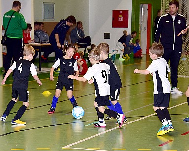 240114 - Jaroměř - Halový turnaj r. 2017 FOTTUR - ©PR - 066 IPR