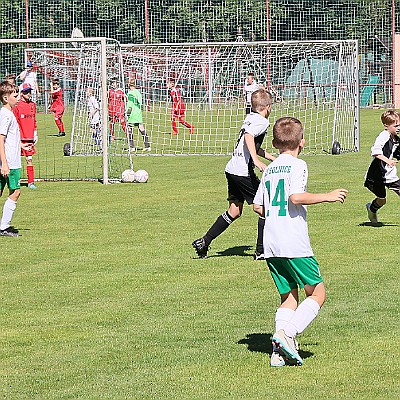 240615 - Černíkovice - SP U11 OP RK - o 8.-13. místo - ©PR - 046