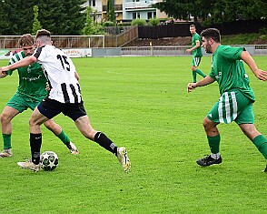 250608 - Č.Kostelec - Hořice - 024