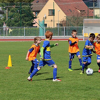 250524 - Rychnov - Vamberk 2017 - Kostelec+Častlovice B - OP MP OFS RK - ©PR - 107