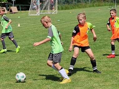 1430 - Rychnov - Solnice bílá