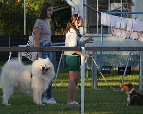 img014 5l Jaromer - Jicin 20250907 foto Vaclav Mlejnek