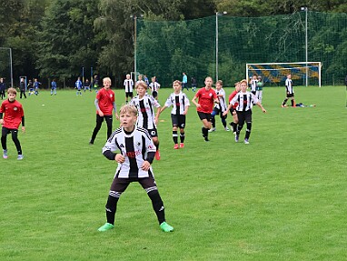 1100 - Rychnov - Dobruška+Opočno