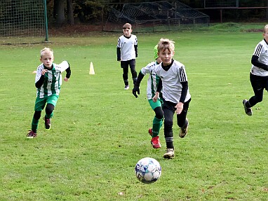 251018 - Kostelecká Lhota+Vamberk B - Rychnov - Albrechtice+Borohrádek zelená - OP MP U9 OFS RK - ©PR