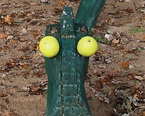 251018 - KLh+VamB - Rych - Alb - OP MP U9 OFS RK - ©PR - 075