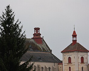 9V0A5464