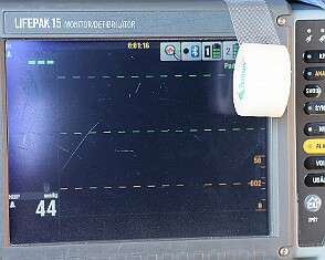 9V0A6954