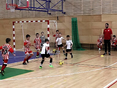 1710 - Černíkovice červená - Rychnov B