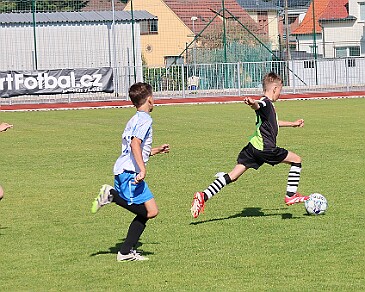260531 - Rychnov A - Albrechtice+Borohrádek - Týniště - OP MP U9 - ©PR - 005