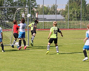 260531 - Rychnov A - Albrechtice+Borohrádek - Týniště - OP MP U9 - ©PR - 009