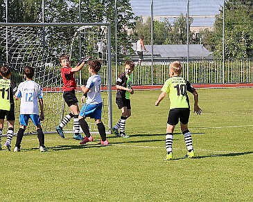 260531 - Rychnov A - Albrechtice+Borohrádek - Týniště - OP MP U9 - ©PR - 010