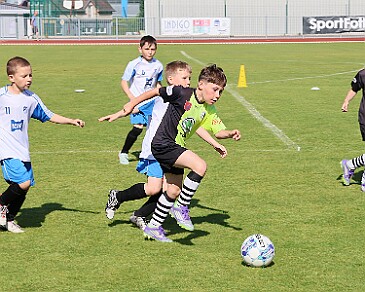 260531 - Rychnov A - Albrechtice+Borohrádek - Týniště - OP MP U9 - ©PR - 017