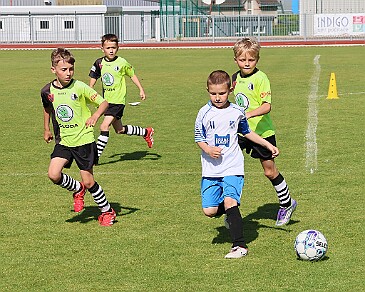 260531 - Rychnov A - Albrechtice+Borohrádek - Týniště - OP MP U9 - ©PR - 020