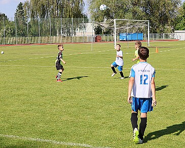 260531 - Rychnov A - Albrechtice+Borohrádek - Týniště - OP MP U9 - ©PR - 022