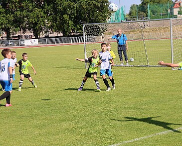 260531 - Rychnov A - Albrechtice+Borohrádek - Týniště - OP MP U9 - ©PR - 023