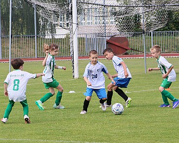 260531 - Rychnov A - Albrechtice+Borohrádek - Týniště - OP MP U9 - ©PR - 073