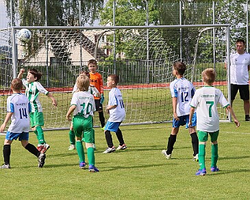 260531 - Rychnov A - Albrechtice+Borohrádek - Týniště - OP MP U9 - ©PR - 078