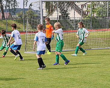 260531 - Rychnov A - Albrechtice+Borohrádek - Týniště - OP MP U9 - ©PR - 081