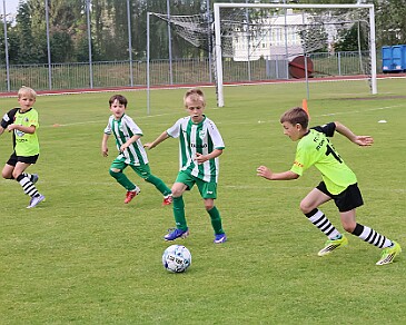 260531 - Rychnov A - Albrechtice+Borohrádek - Týniště - OP MP U9 - ©PR - 160