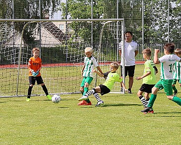 260531 - Rychnov A - Albrechtice+Borohrádek - Týniště - OP MP U9 - ©PR - 169