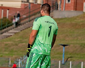 022_DSD1013